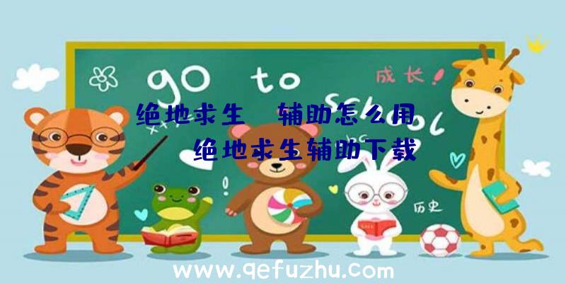 「绝地求生bl辅助怎么用」|pubg绝地求生辅助下载